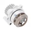 Pompe à eau DT 11.14004 - Visuel 1
