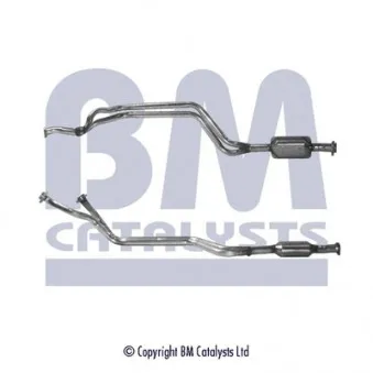 Catalyseur BM CATALYSTS BM80046H