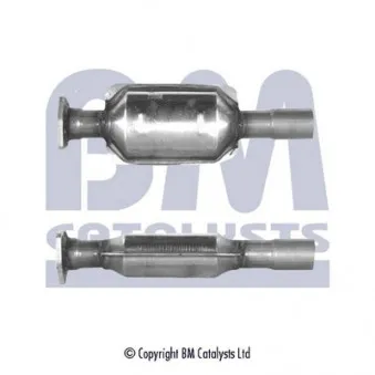 Catalyseur BM CATALYSTS BM80062H
