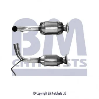 Catalyseur BM CATALYSTS BM80068H