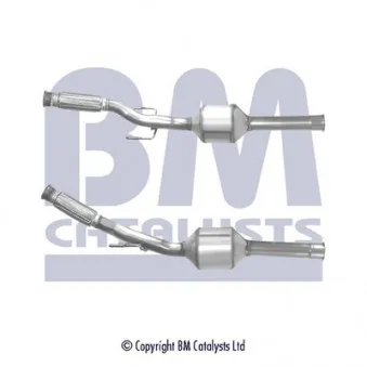Catalyseur BM CATALYSTS