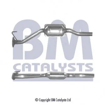 Catalyseur BM CATALYSTS BM80163H