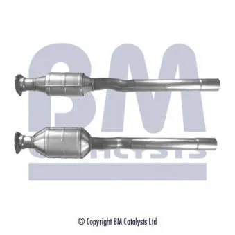 Catalyseur BM CATALYSTS BM90679H