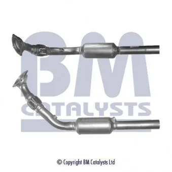 Catalyseur BM CATALYSTS BM91194H