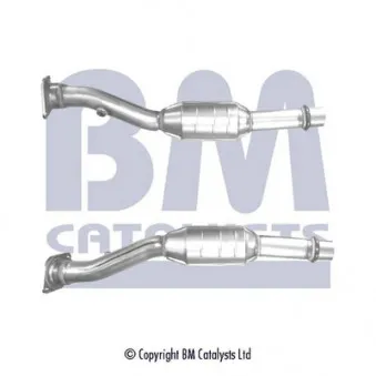 Catalyseur BM CATALYSTS BM91381H