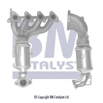 Catalyseur BM CATALYSTS BM91593H