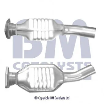 Catalyseur BM CATALYSTS