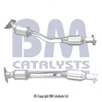 Catalyseur BM CATALYSTS BM91839H