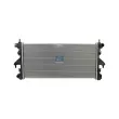Radiateur, refroidissement du moteur DT 12.17002 - Visuel 1