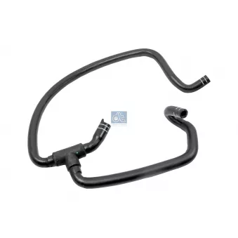 Durite de radiateur DT 12.17113