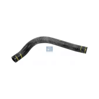 Durite de radiateur DT 12.17117