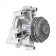 Pompe à eau DT 12.18004 - Visuel 2