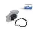 Pompe à eau DT 12.18005 - Visuel 1