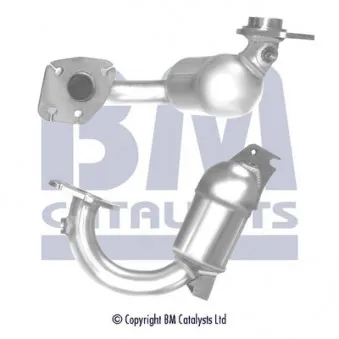 Catalyseur BM CATALYSTS BM91973H