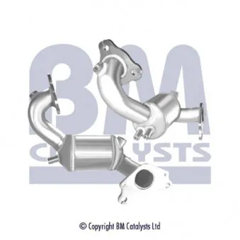 Catalyseur BM CATALYSTS BM91974H