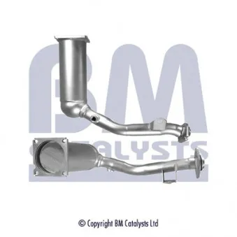 Catalyseur BM CATALYSTS BM91989H