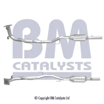 Catalyseur BM CATALYSTS