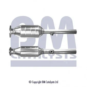 Catalyseur BM CATALYSTS BM92113H