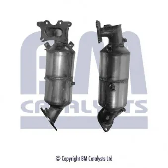 Catalyseur BM CATALYSTS BM92117H