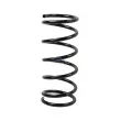 Ressort de suspension DT 12.60075 - Visuel 1