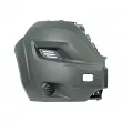 Pare-chocs DT 12.82029 - Visuel 1