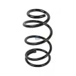 Ressort de suspension DT 13.17101 - Visuel 1