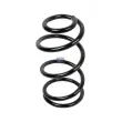 Ressort de suspension DT 13.17102 - Visuel 1