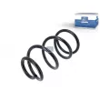 Ressort de suspension DT 13.17105 - Visuel 1