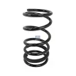 Ressort de suspension DT 13.17108 - Visuel 1