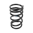 Ressort de suspension DT 13.17114 - Visuel 1