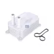 Radiateur d'huile DT 13.41103SP - Visuel 1