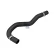 Durite de radiateur DT 13.42131 - Visuel 1