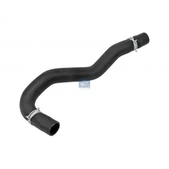 Durite de radiateur DT 13.42131