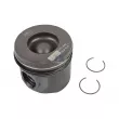 Piston DT 13.47203 - Visuel 1