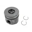 Piston DT 13.47204 - Visuel 1