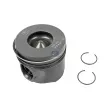 Piston DT 13.47207 - Visuel 1