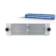 Intercooler, échangeur DT 13.48029 - Visuel 1