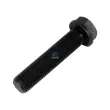 Vis de bielle DT 2.10356 - Visuel 1
