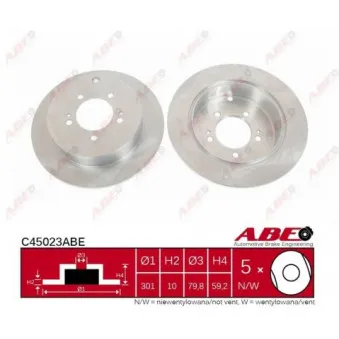 Jeu de 2 disques de frein arrière ABE