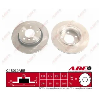 Jeu de 2 disques de frein arrière ABE
