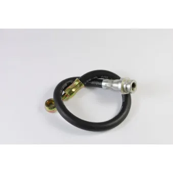Flexible de frein ABE C80667ABE