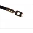Flexible de frein ABE C81066ABE - Visuel 2