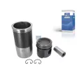 Kit de réparation, Piston/Chemise de cylindre DT 3.90138 - Visuel 1