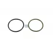 Bague d'étanchéité, différentiel DT 4.20817 - Visuel 1