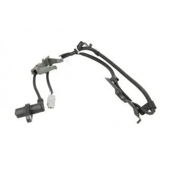 Capteur, vitesse de roue ABE CCZ1103ABE
