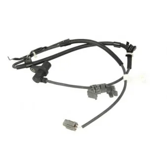 Capteur, vitesse de roue ABE CCZ1113ABE
