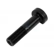 Boulon de roue DT 4.40271 - Visuel 1