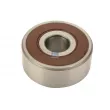 Suspension, alternateur DT 4.62889 - Visuel 1