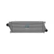 Intercooler, échangeur DT 4.66335 - Visuel 1