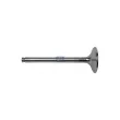Soupape d'admission DT 4.66394 - Visuel 1